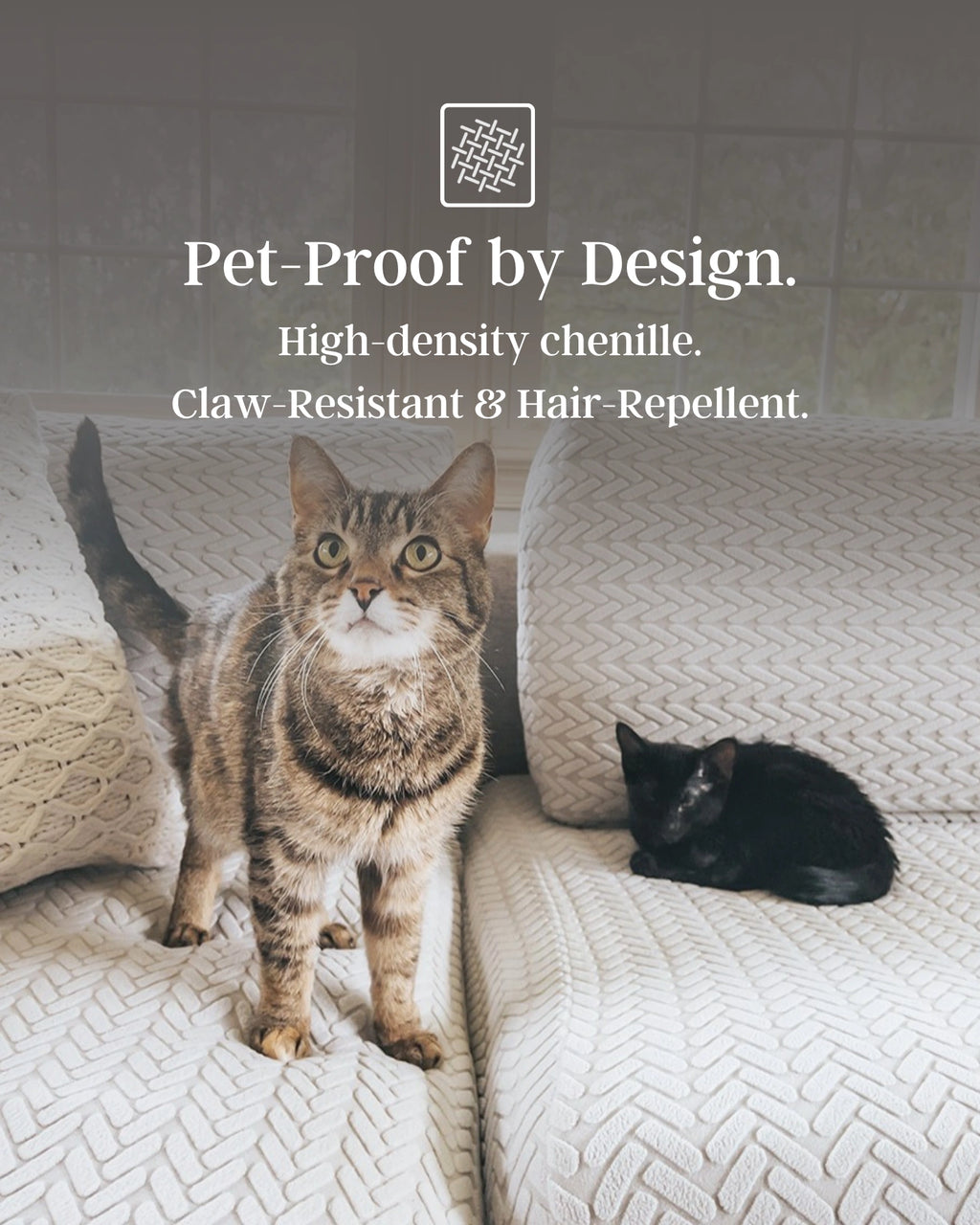 Two cats on a textured surface with text about pet-proof design.