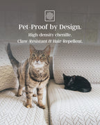 Two cats on a textured surface with text about pet-proof design.