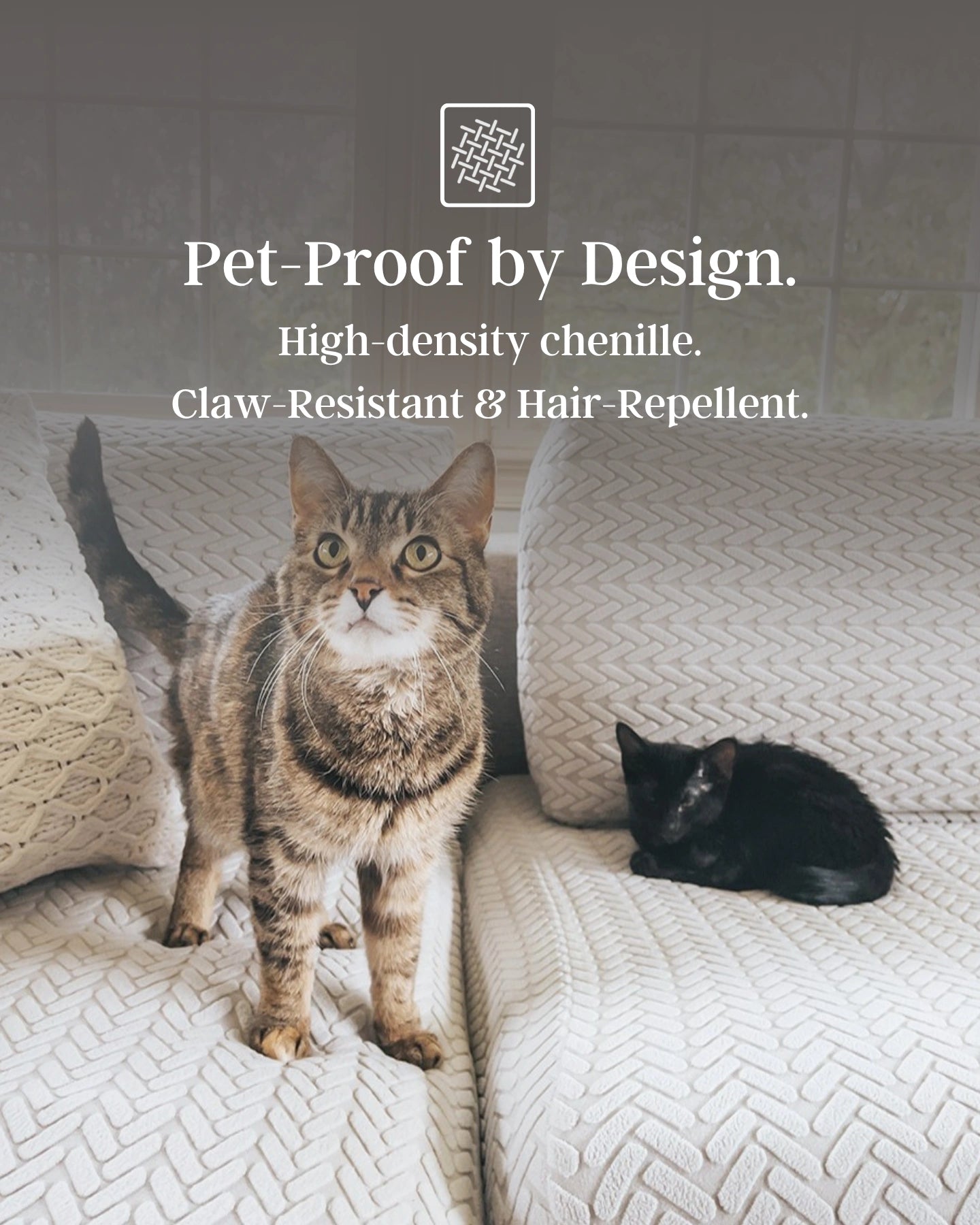 Two cats on a textured surface with text about pet-proof design.