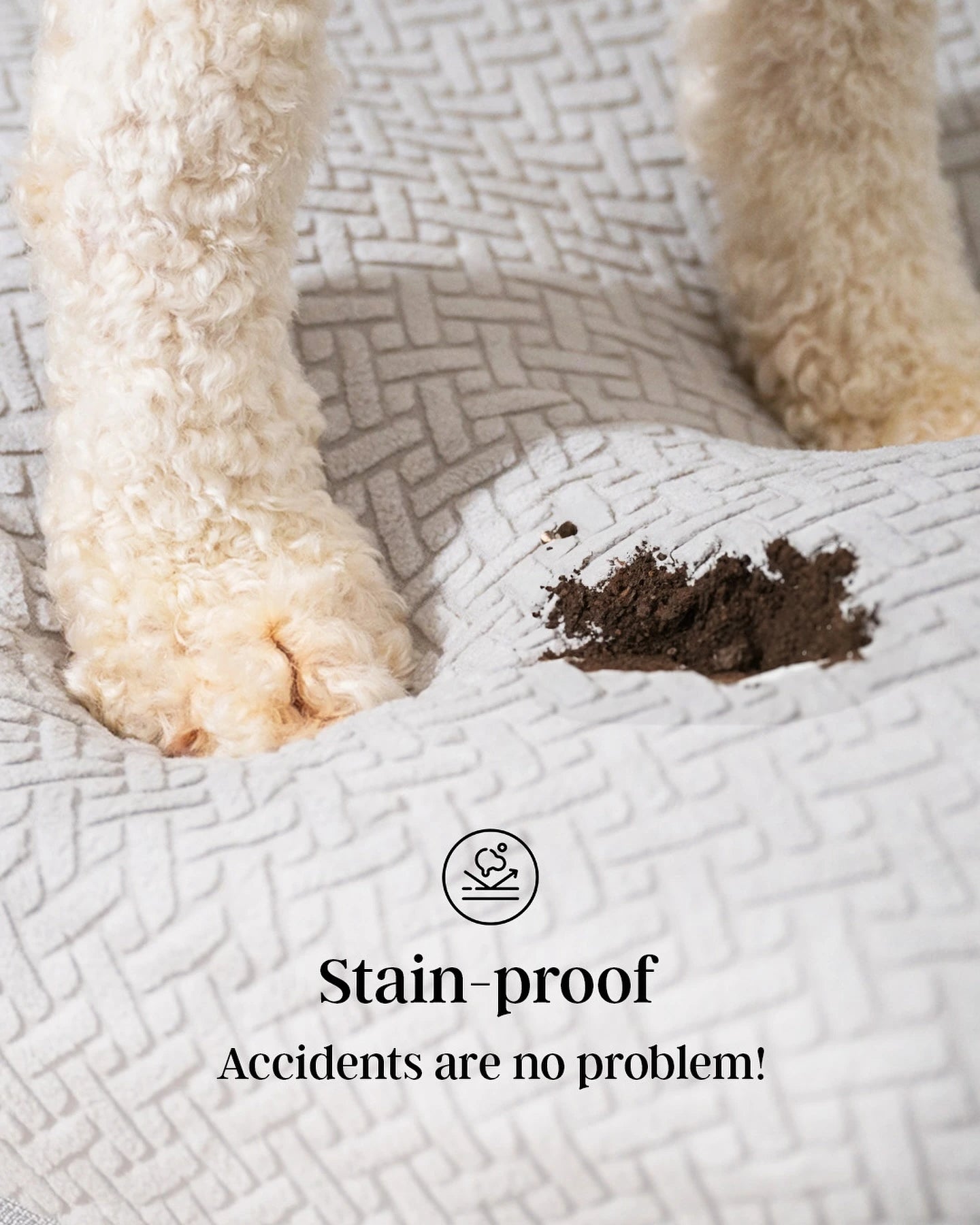 Dog with a stain on a quilted surface, promoting stain-proof material.