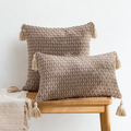 2pcs Classic Cushion Covers